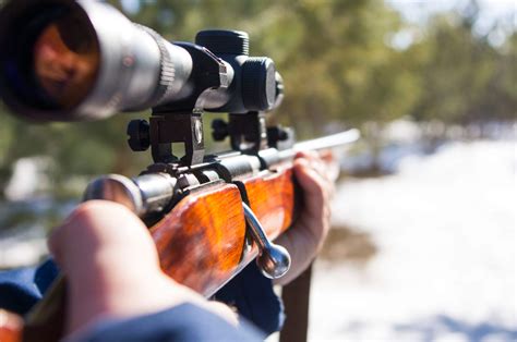 hunting violation lawyers|Denver Wildlife Defense Lawyer .